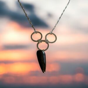 Bear claw southwestern style necklace. Stainless steel with vintage claw.